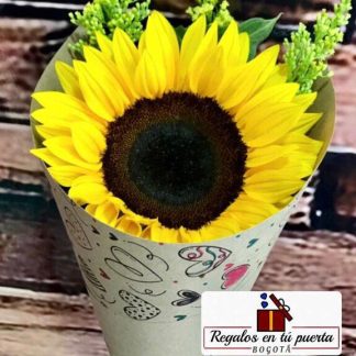 1 girasol