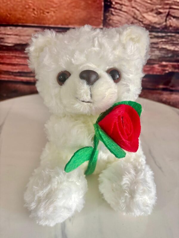 Oso rosa 20cm