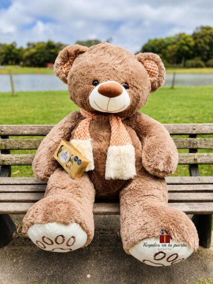 Oso Encantador
